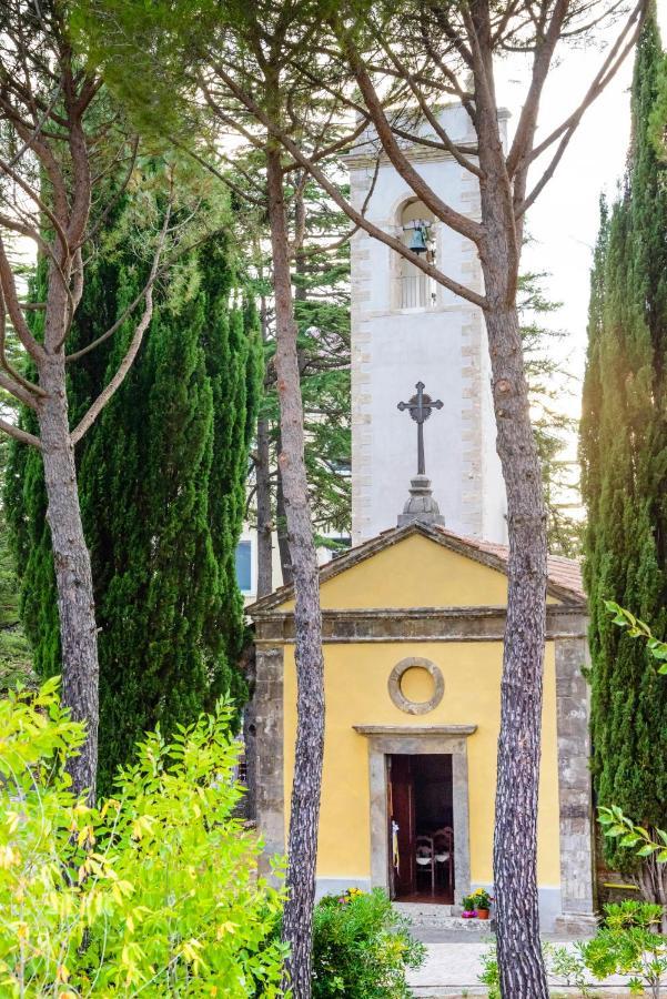 Palazzo Vittoria Hotel Massa Marittima Eksteriør billede